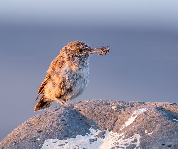 Photograph by Ryan DesJardins