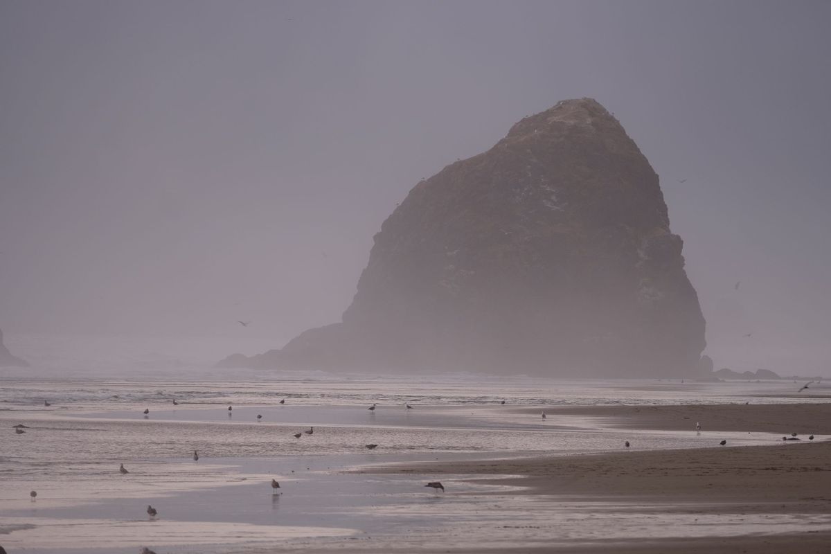 Photograph by Ryan DesJardins