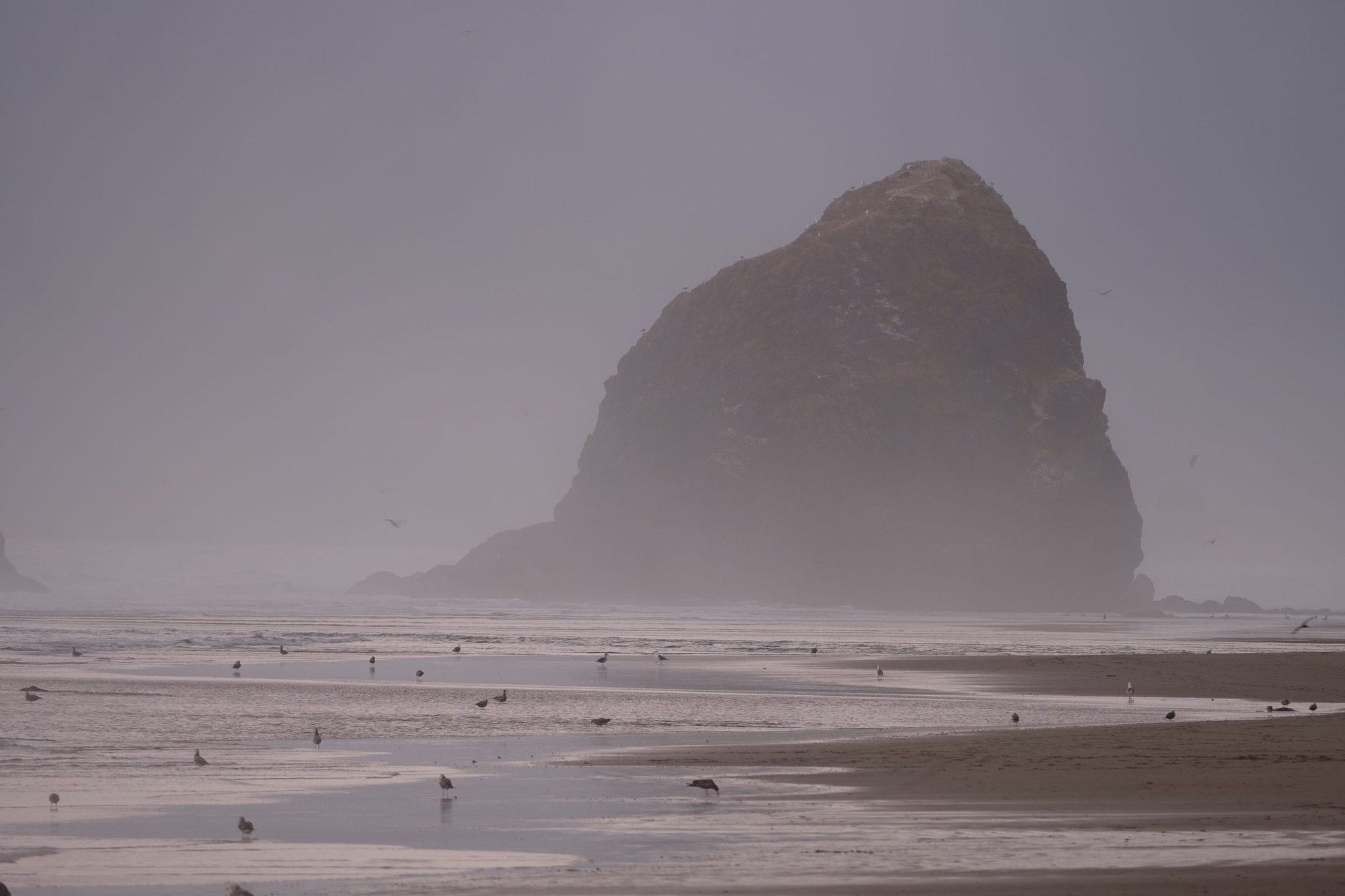 Photograph by Ryan DesJardins