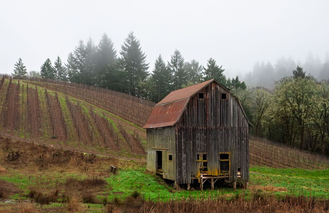 Photograph by Ryan DesJardins