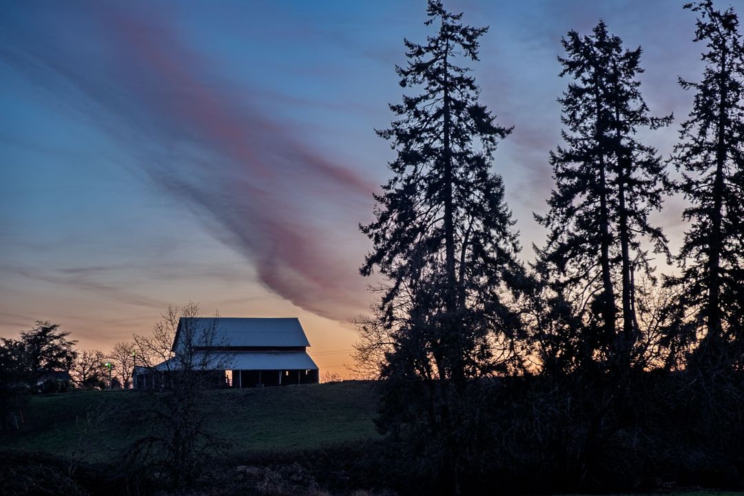 Photograph by Ryan DesJardins