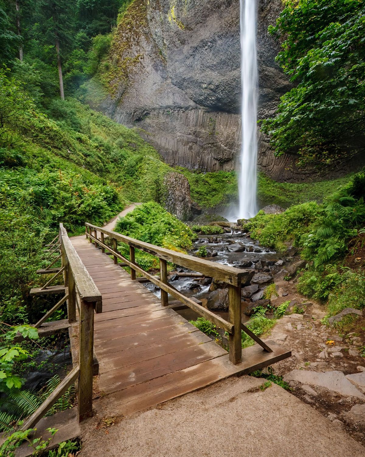 Photograph by Ryan DesJardins