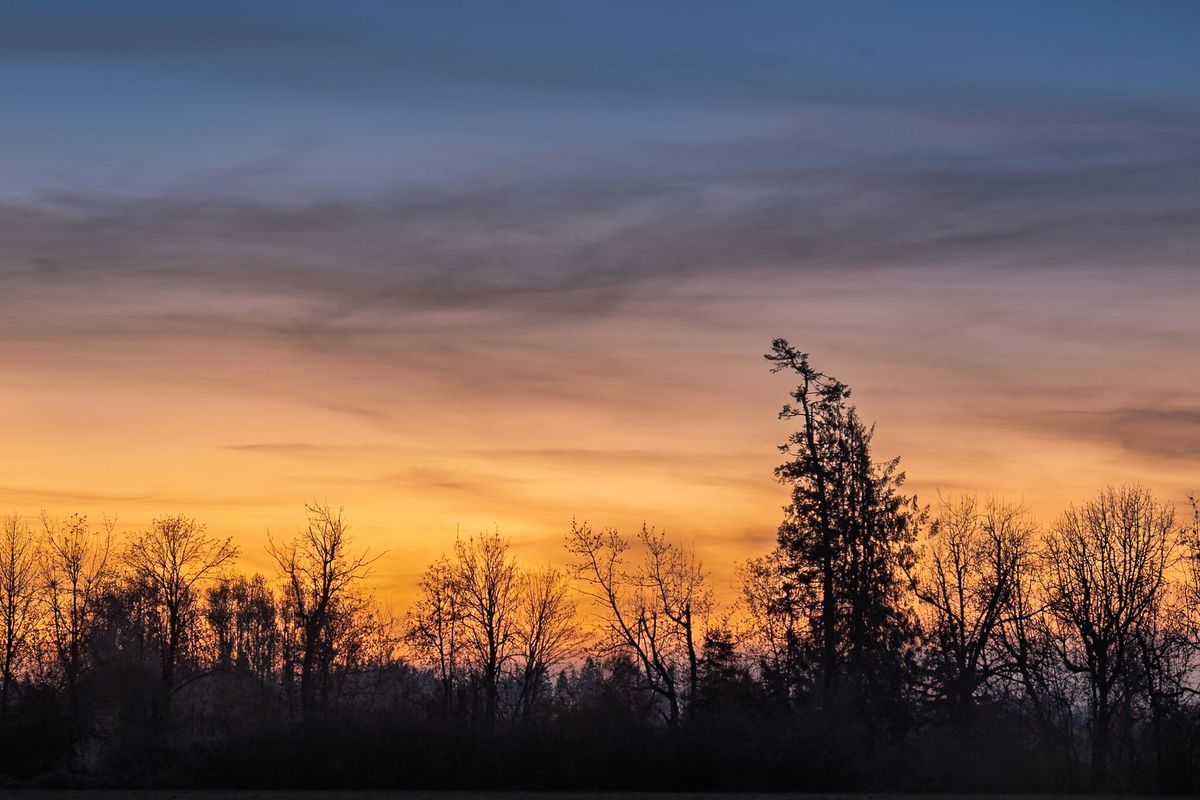 Photograph by Ryan DesJardins