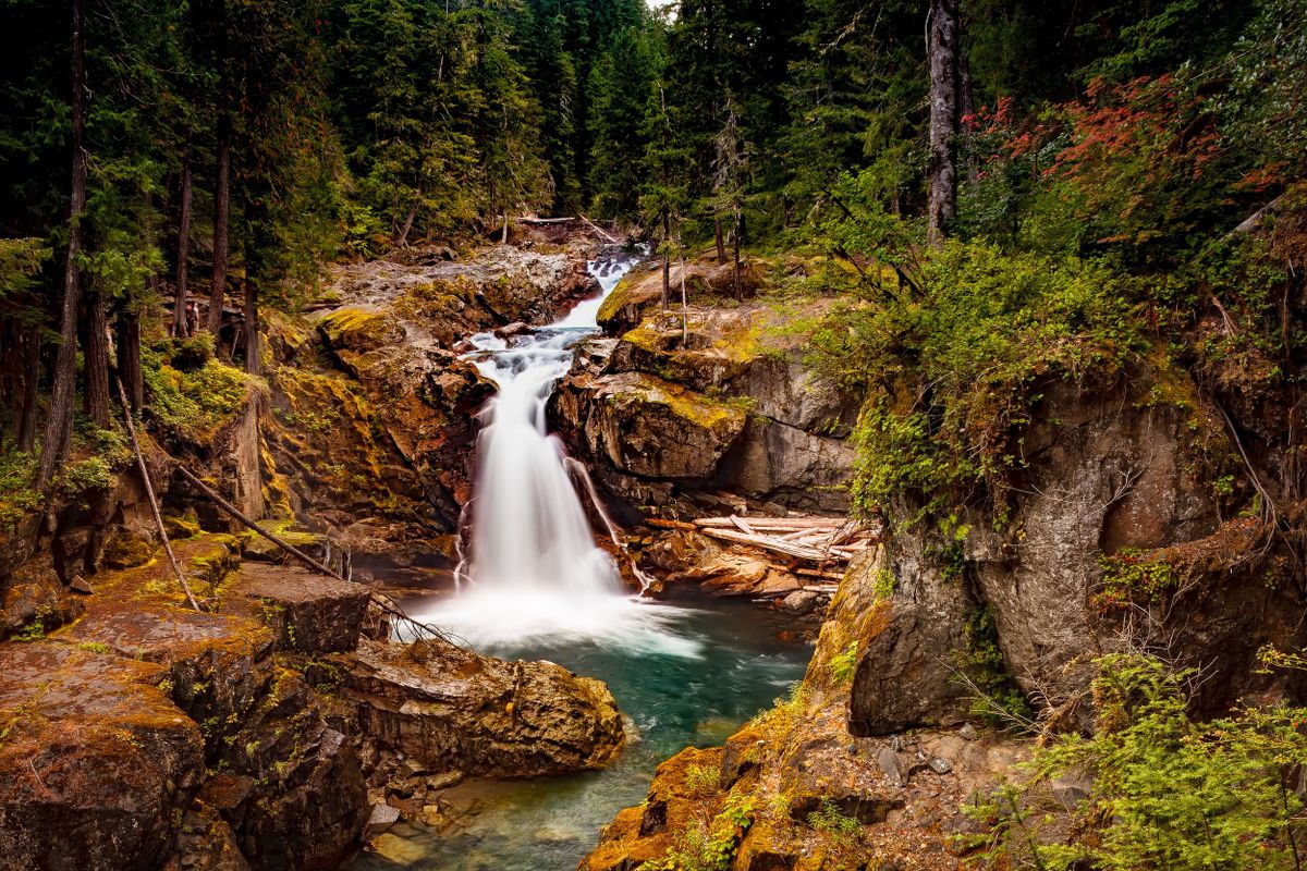 Silver Falls, Mt. Rainier National Park
