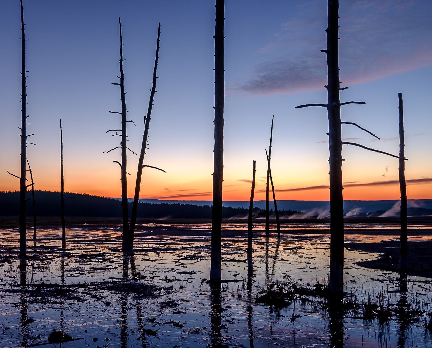 Photograph by Ryan DesJardins