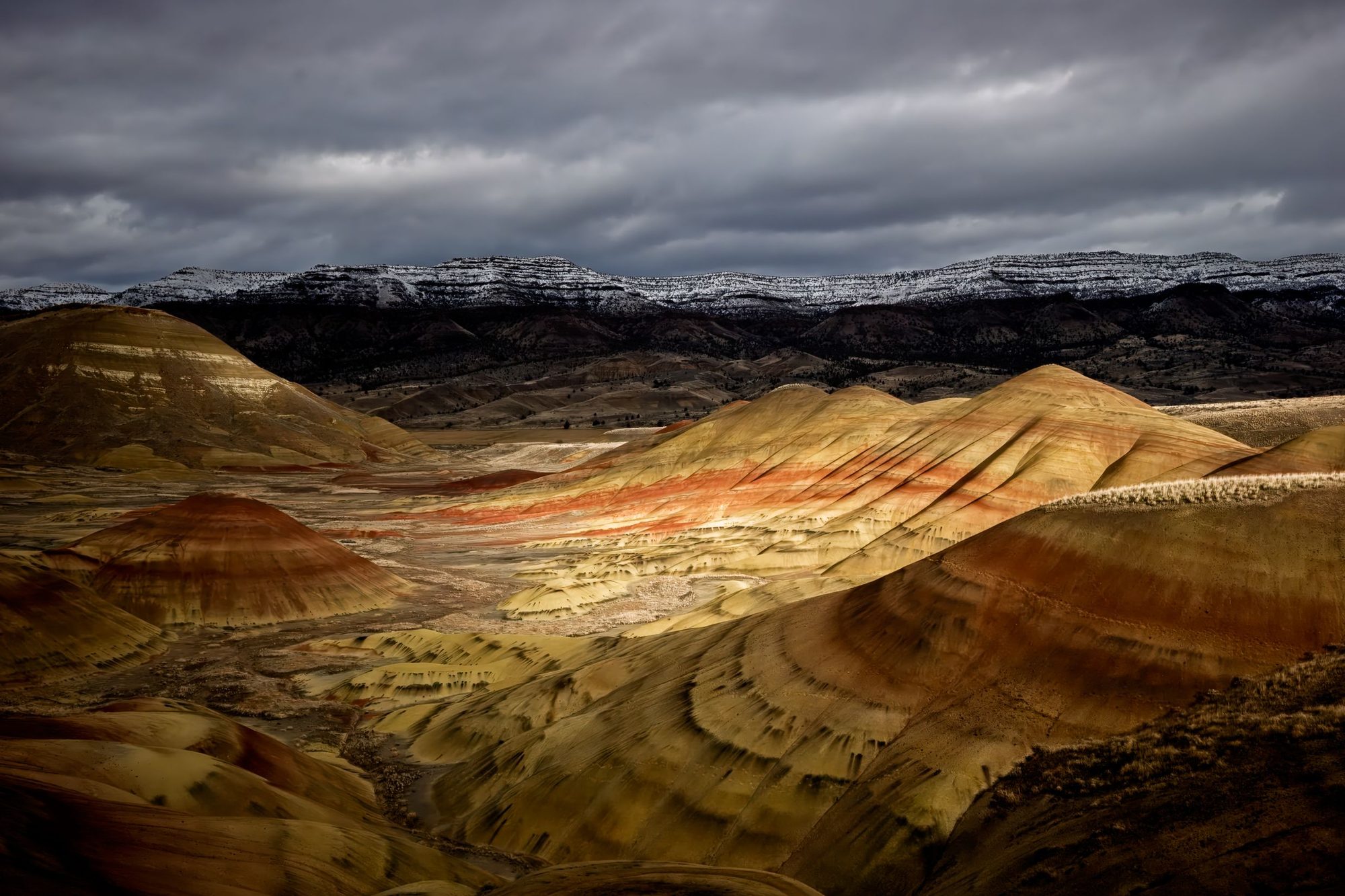 Photograph by Ryan DesJardins