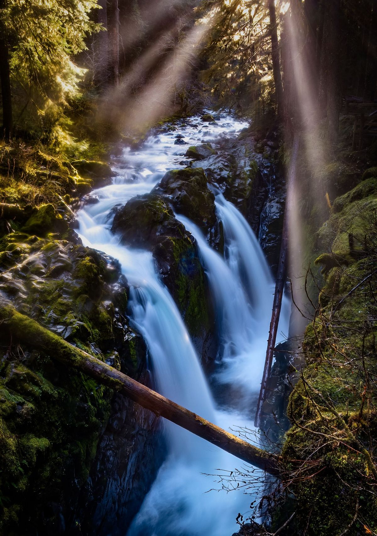 Photograph by Ryan DesJardins