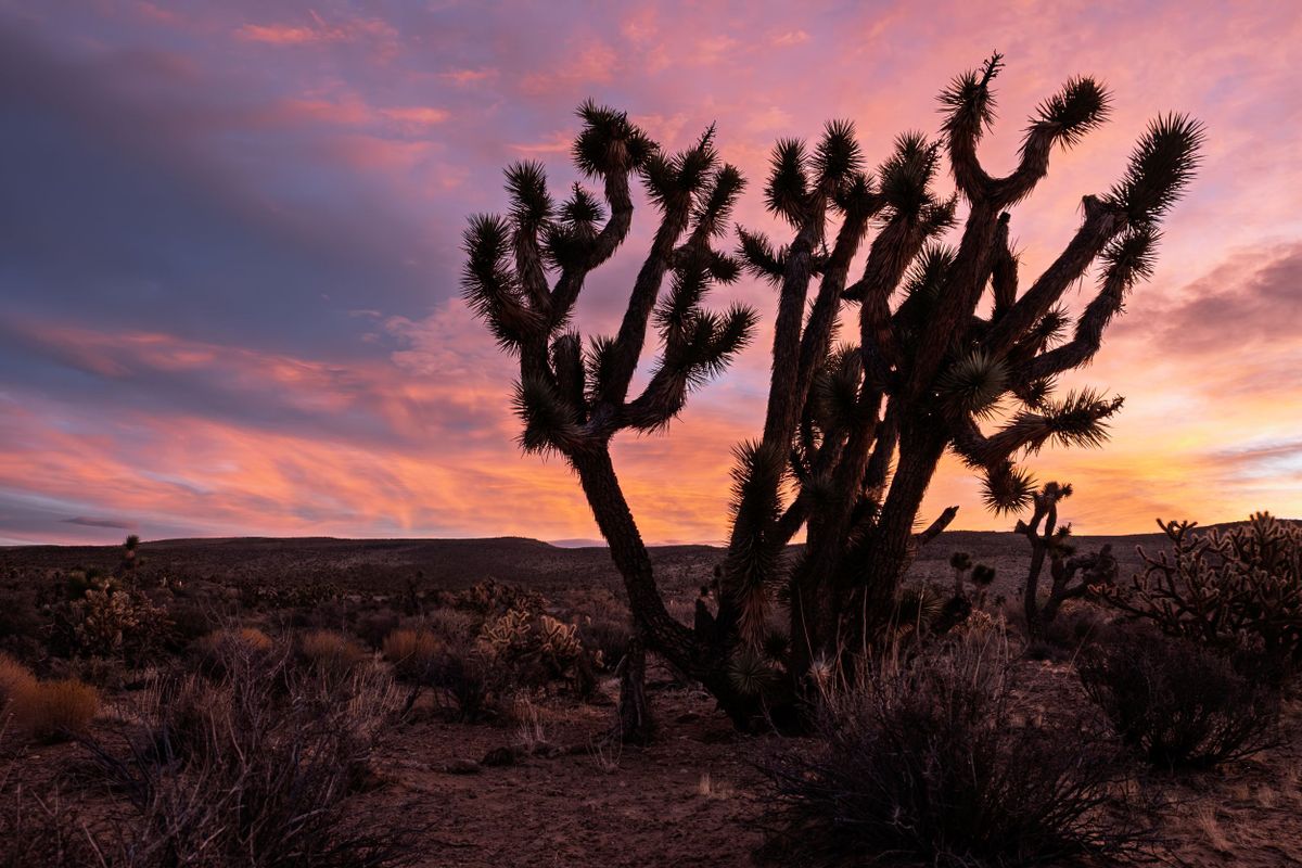 Photograph by Ryan DesJardins
