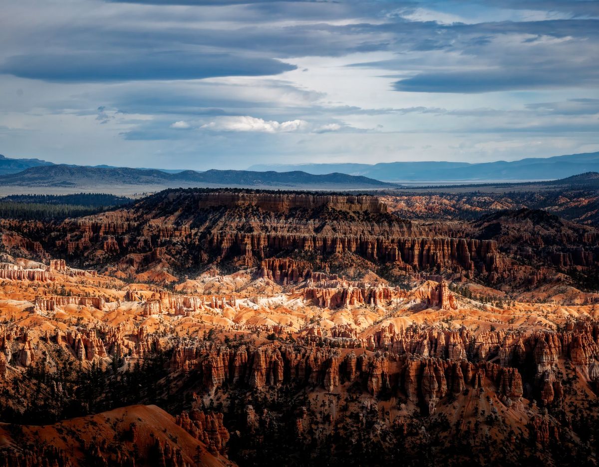 Photograph by Ryan DesJardins