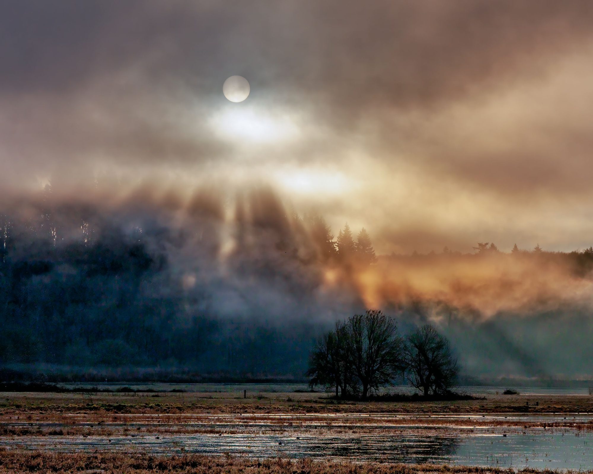 Photograph by Ryan DesJardins
