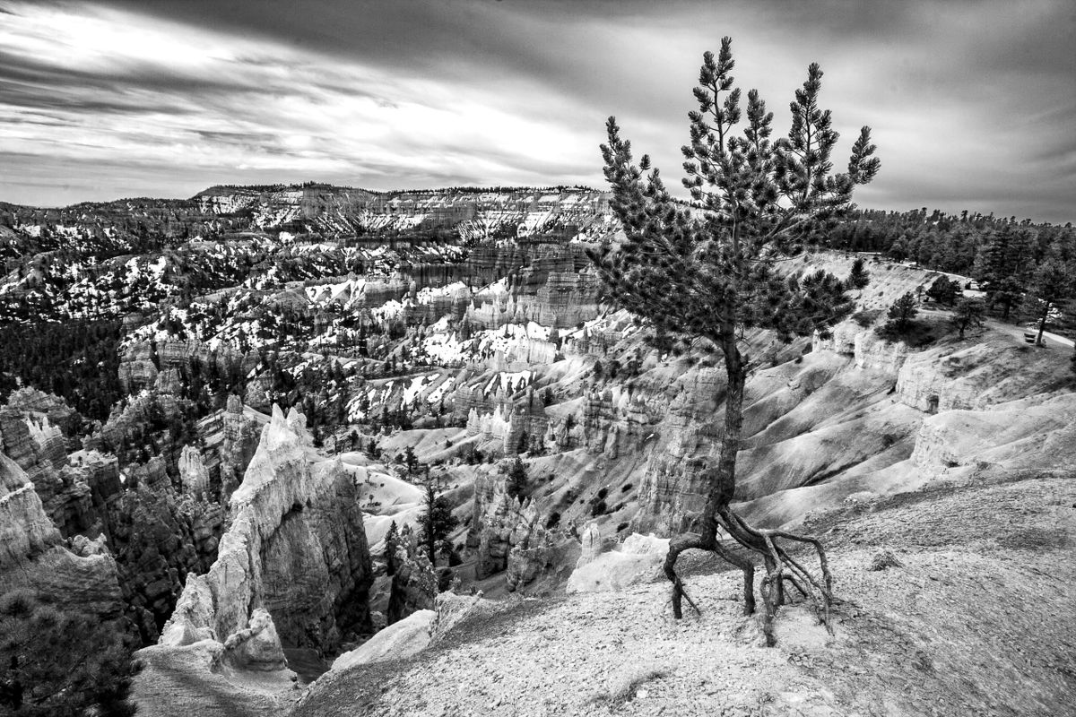 Photograph by Ryan DesJardins