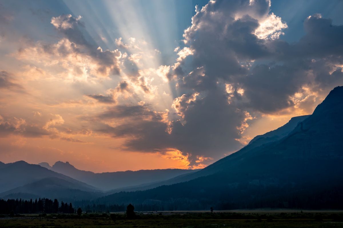 Photograph by Ryan DesJardins