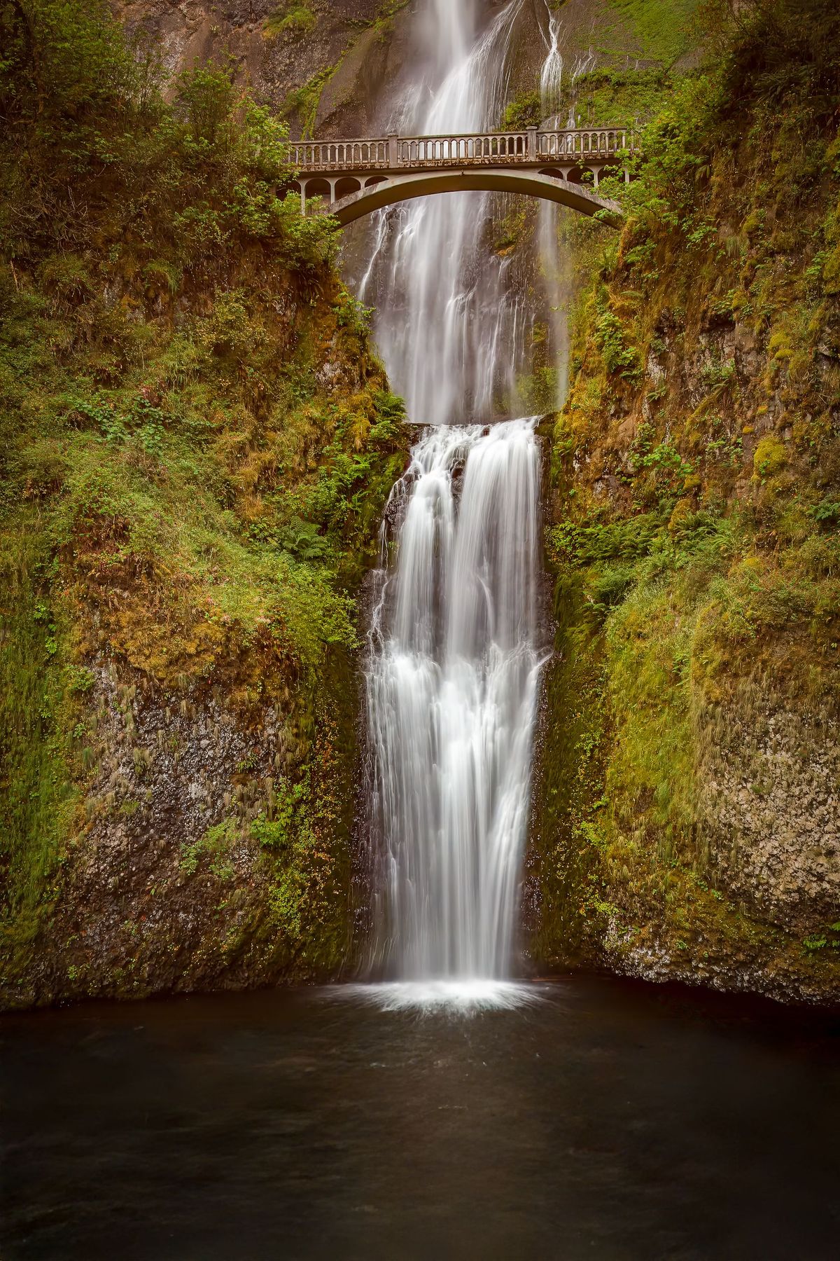 Photograph by Ryan DesJardins