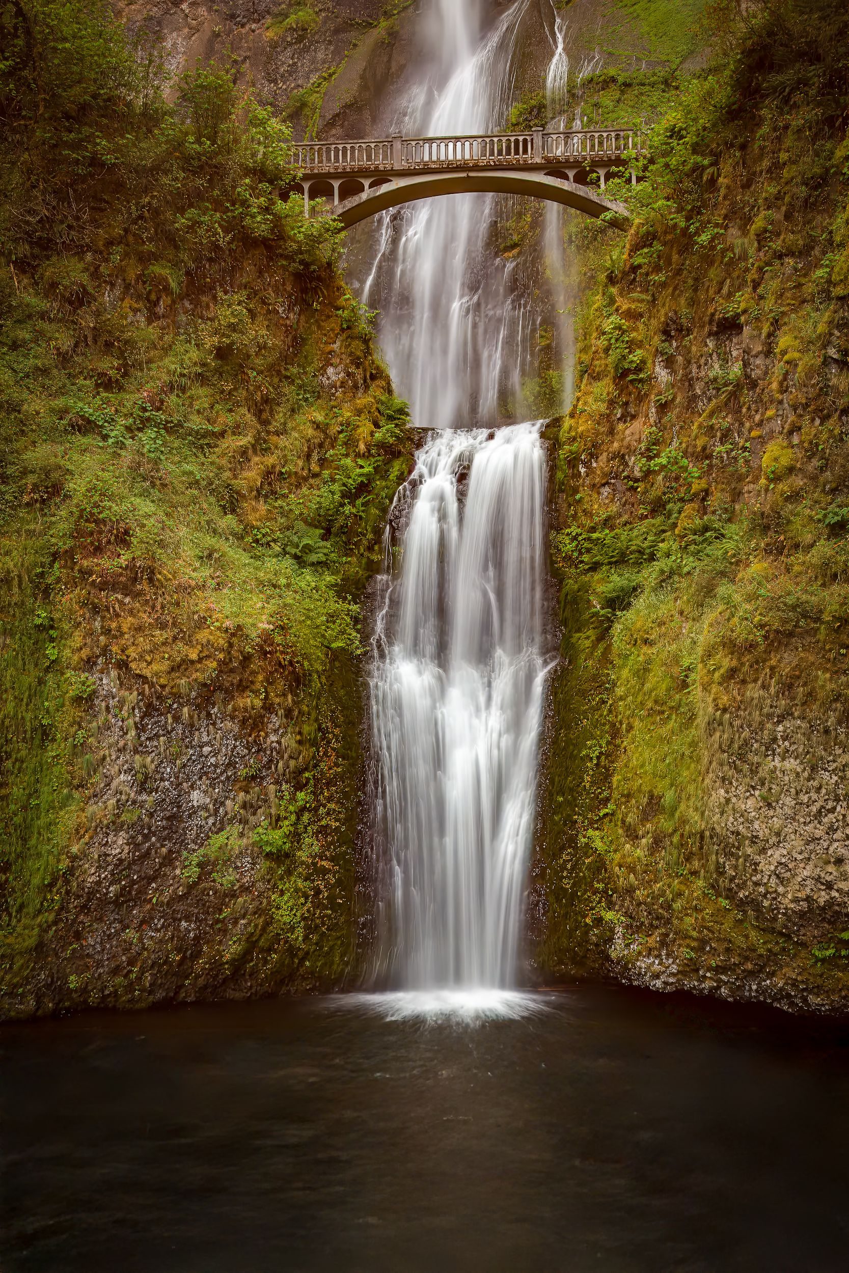 Photograph by Ryan DesJardins
